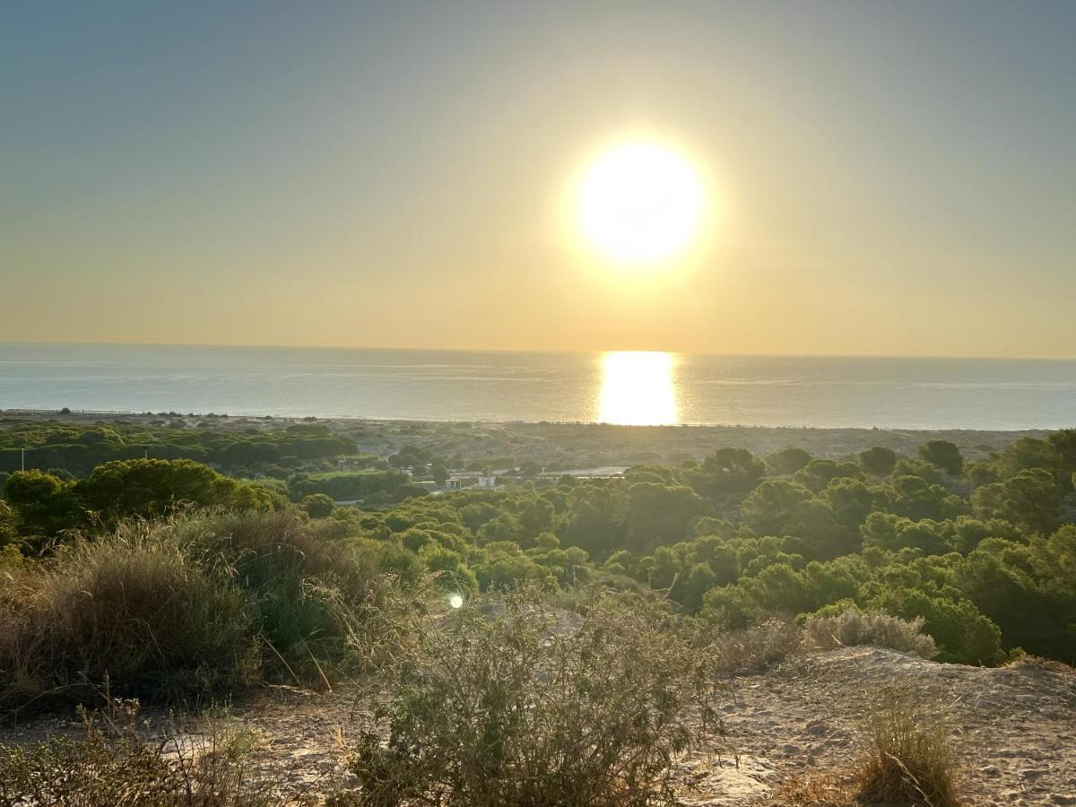 גראן אלקנט Casa Canarias En Alicante, Playa Y Piscina מראה חיצוני תמונה